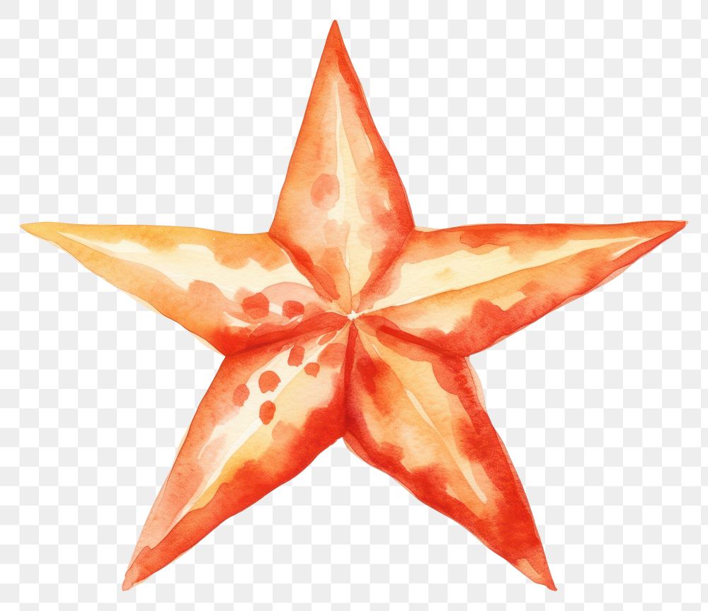 PNG Shape paper star star shape. AI generated Image by rawpixel.
