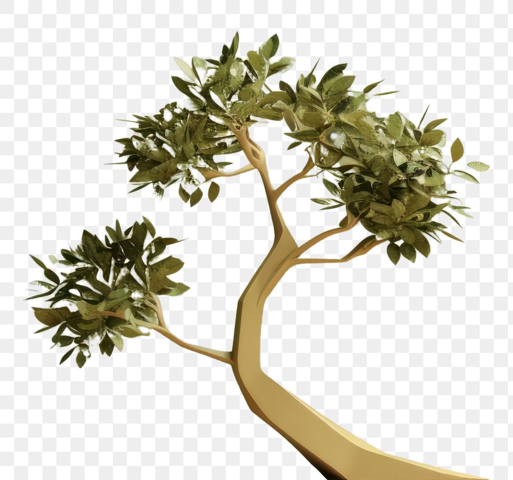 PNG Tree bonsai plant green. AI generated Image by rawpixel.