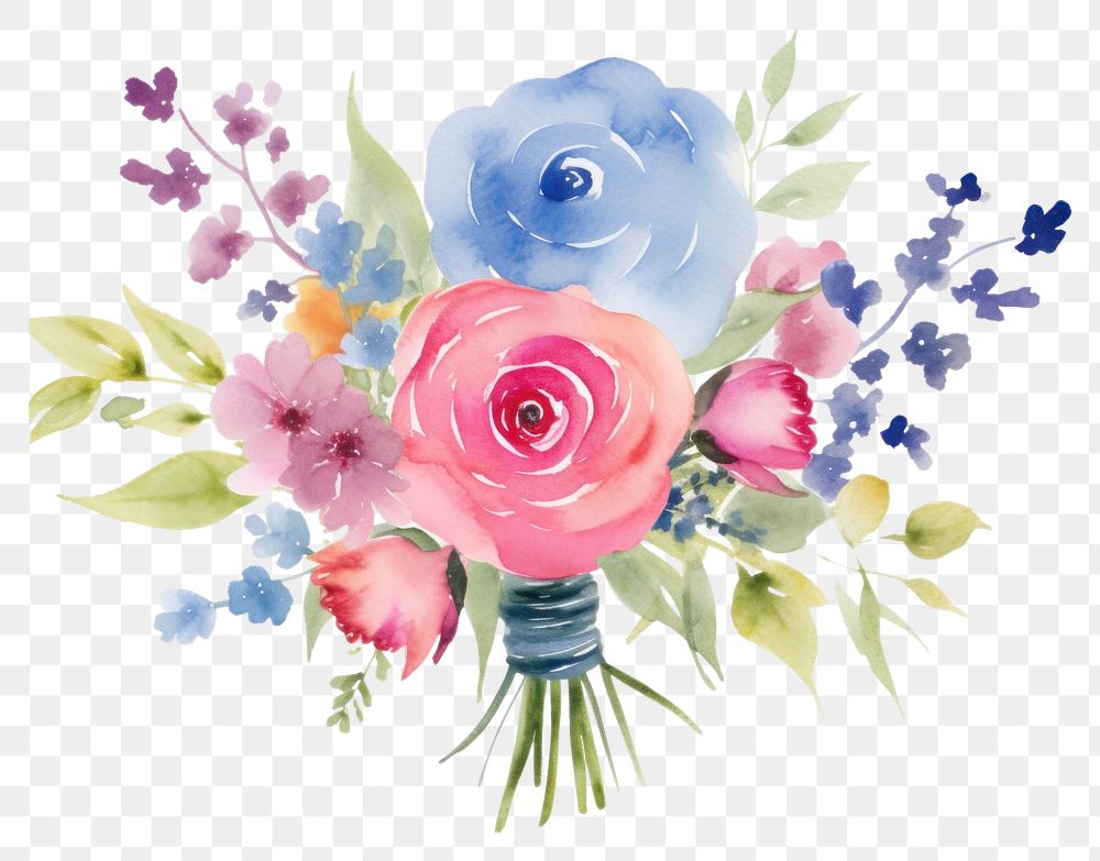 PNG Flower plant rose inflorescence.