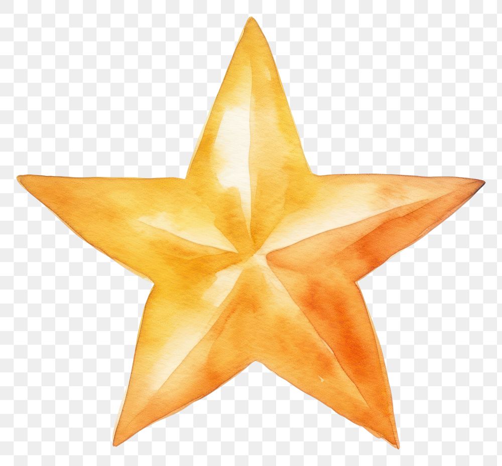 PNG Symbol paper star echinoderm