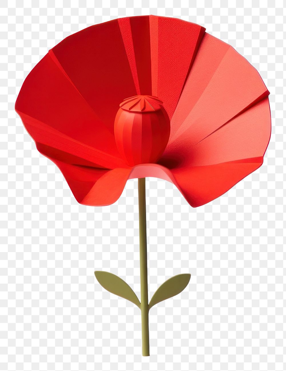 PNG Flower poppy petal plant. AI generated Image by rawpixel.