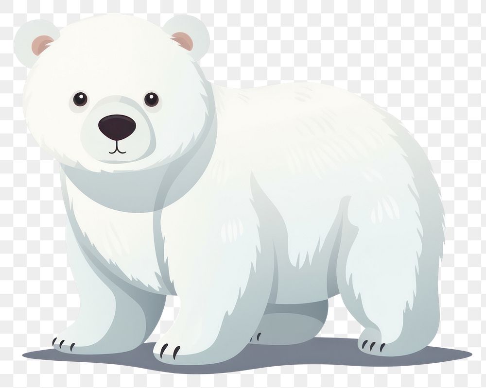 PNG Bear mammal animal white. 