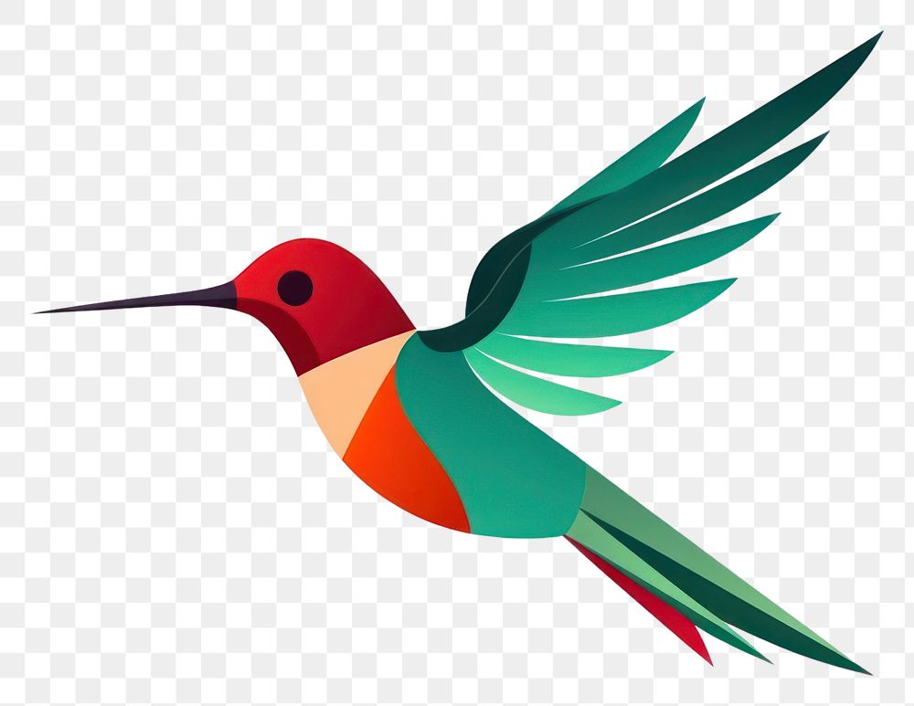 PNG Hummingbird animal flying beak. 