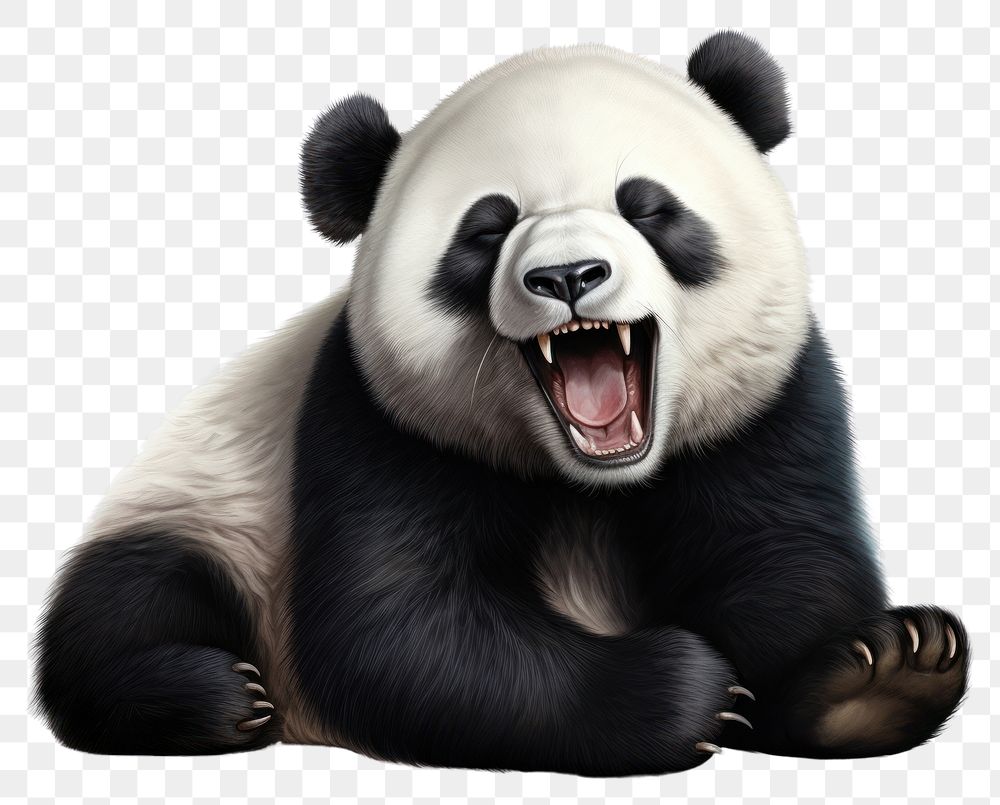 PNG Wildlife mammal animal panda. AI generated Image by rawpixel.