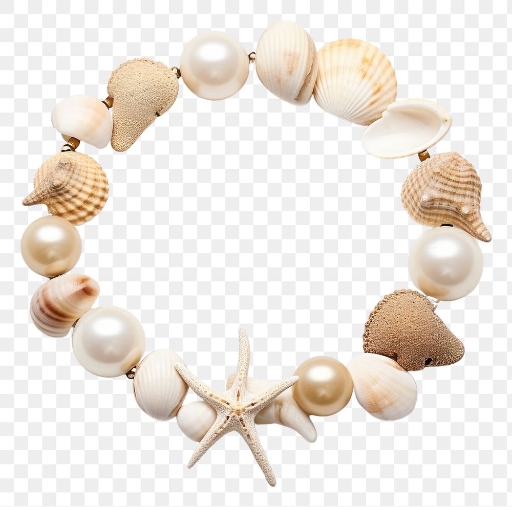 PNG Seashell necklace bracelet jewelry. AI generated Image by rawpixel.
