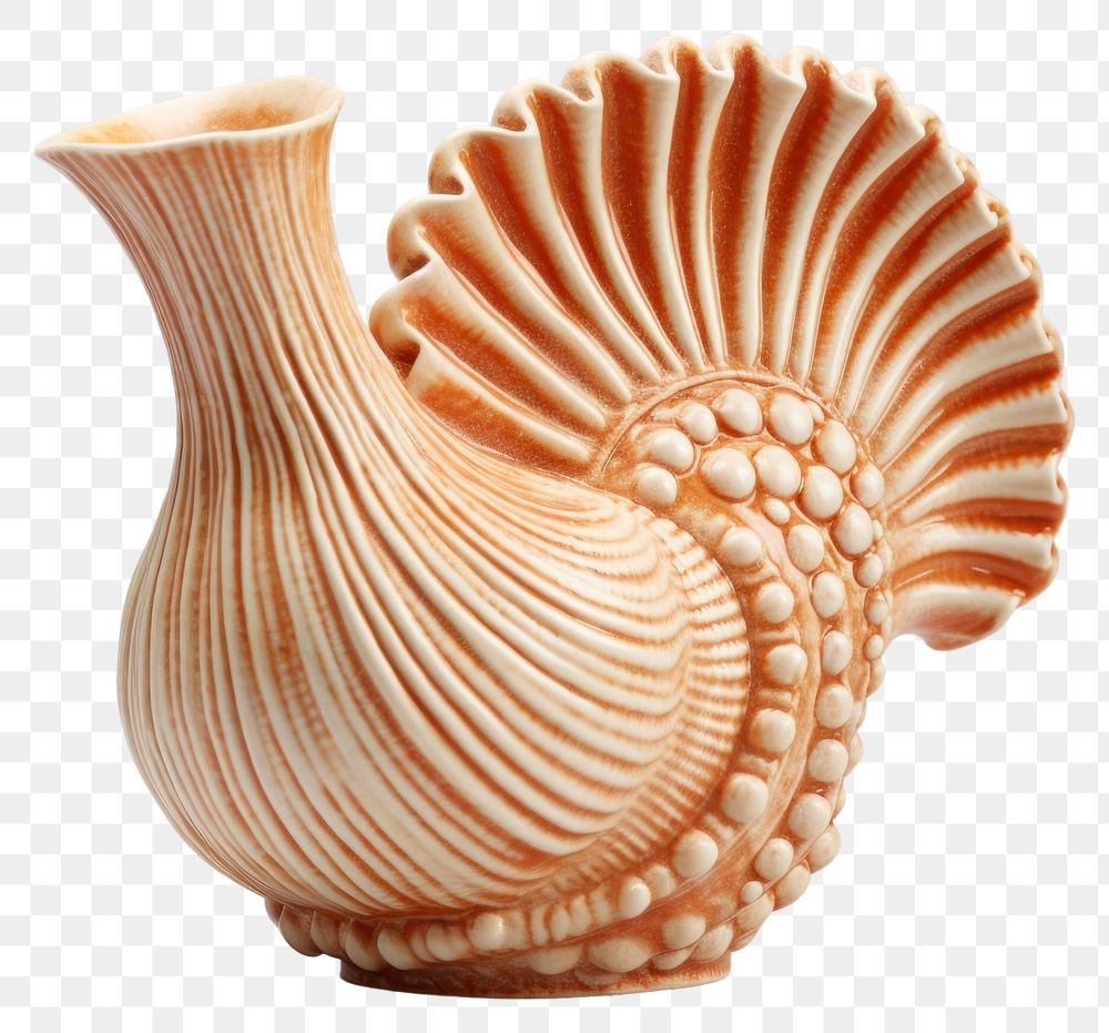 PNG Pottery seashell art invertebrate. AI generated Image by rawpixel.