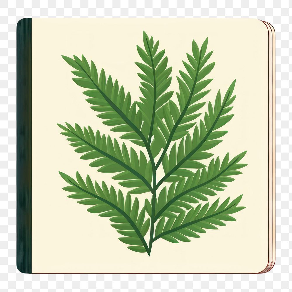 PNG Plant herbs leaf book. 