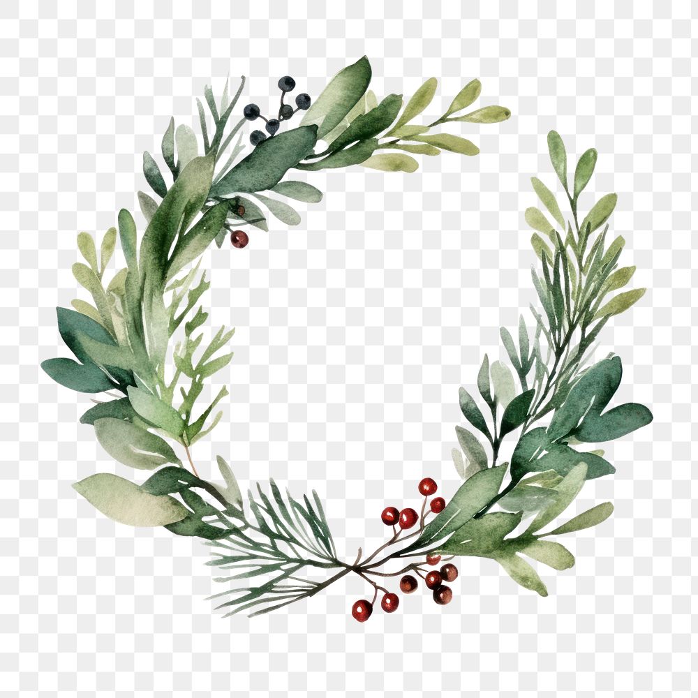 PNG Wreath plant leaf white background. 