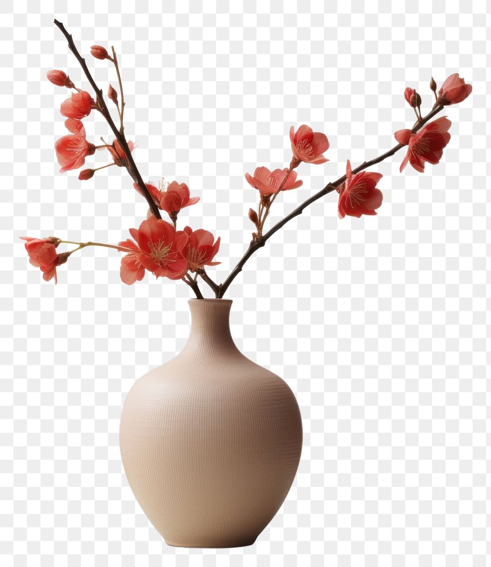 PNG Blossom flower plant vase.