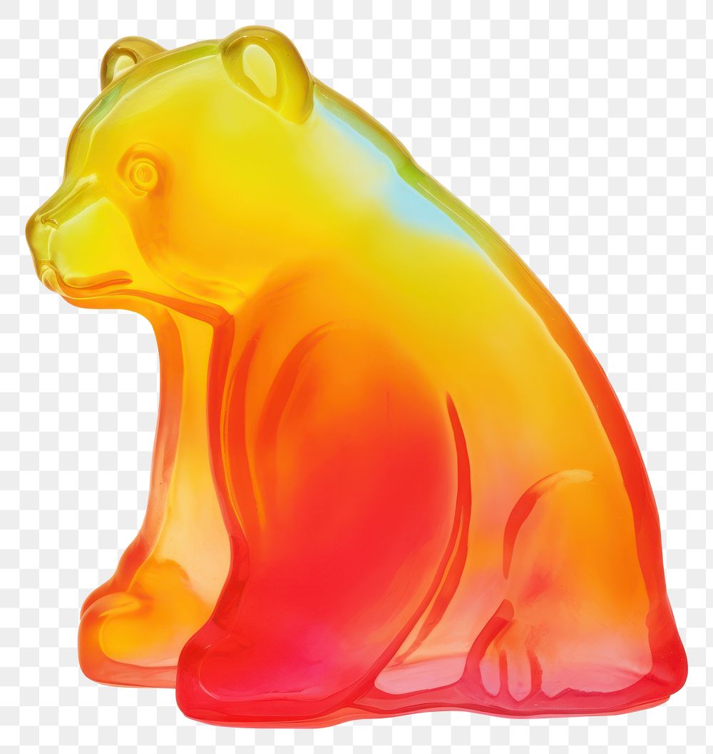 PNG Mammal bear white background representation. 