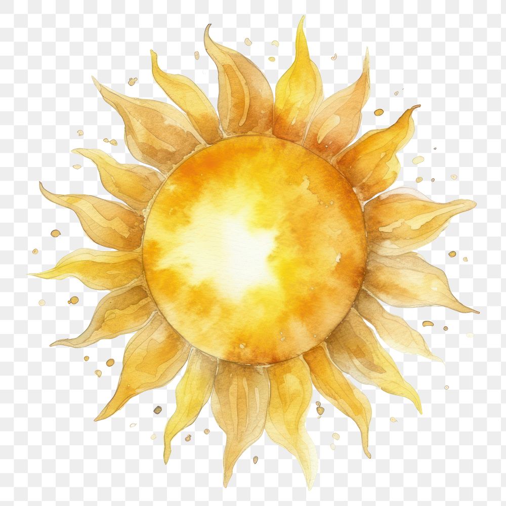 PNG Sun sunflower nature sky. AI generated Image by rawpixel.