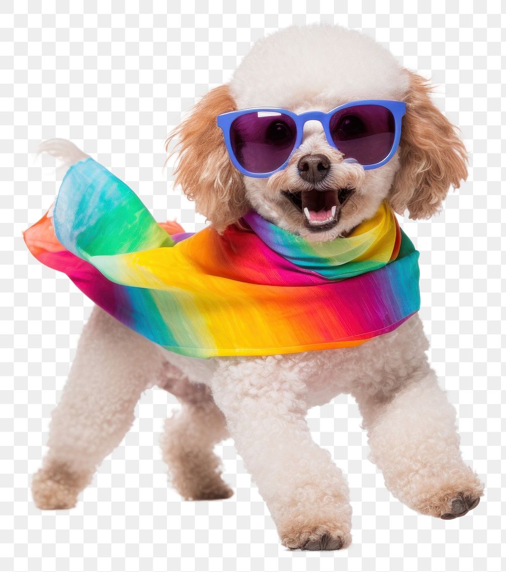 PNG Glasses poodle sunglasses smiling. AI generated Image by rawpixel.