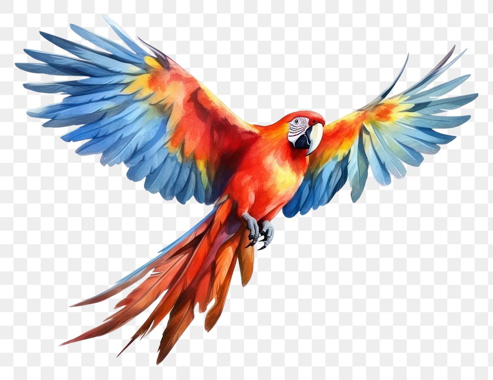 PNG Parrot animal flying macaw. AI generated Image by rawpixel.