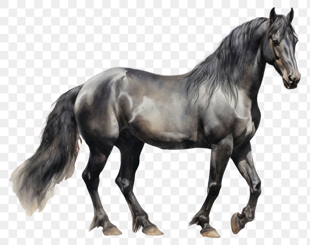 PNG Horse stallion standing animal. AI generated Image by rawpixel.