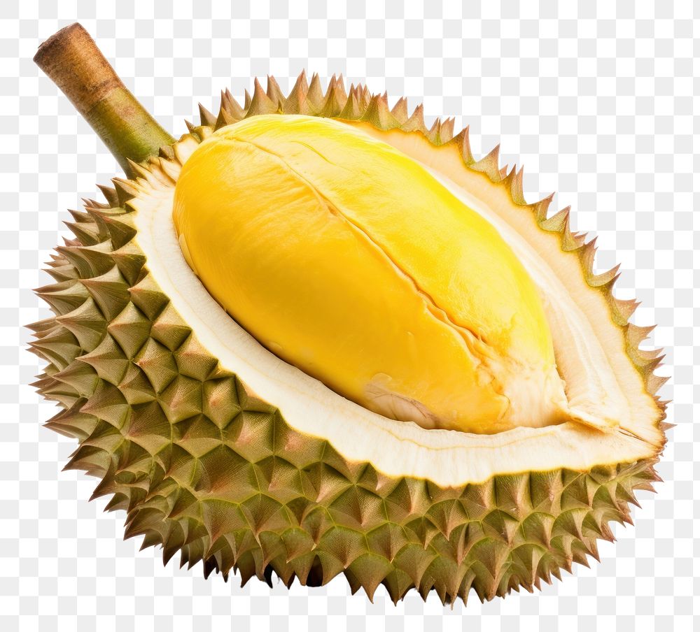 PNG Durian fruit plant food. 