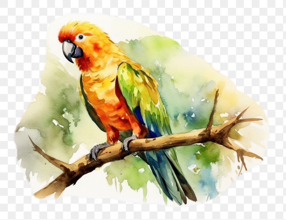 PNG watercolor illustration of parrot, isolate illustration on paper --ar 3:2