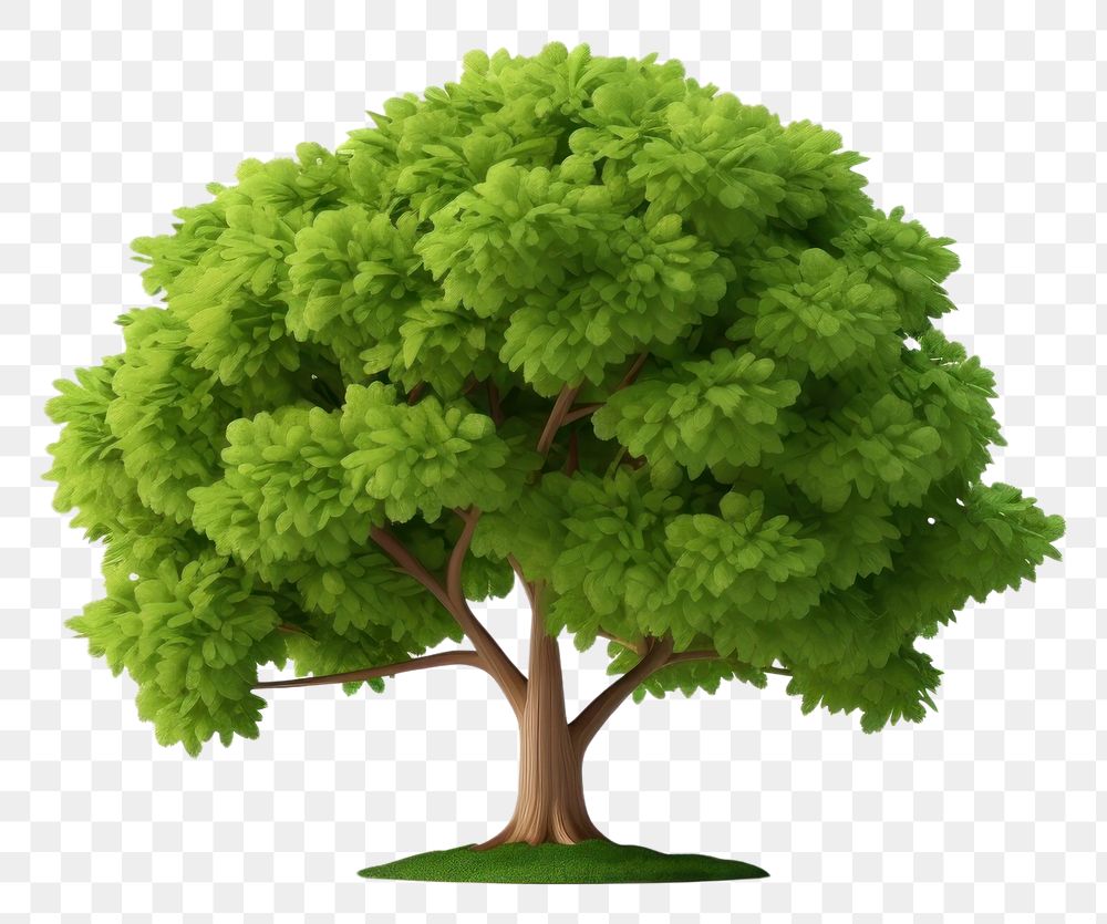 PNG Tree outdoors plant white background. AI generated Image by rawpixel.