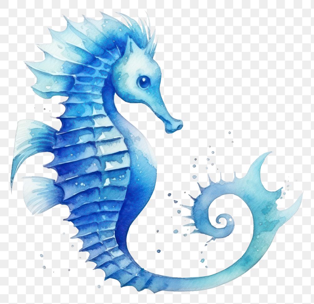 PNG Seahorse animal creativity octopus. AI generated Image by rawpixel.