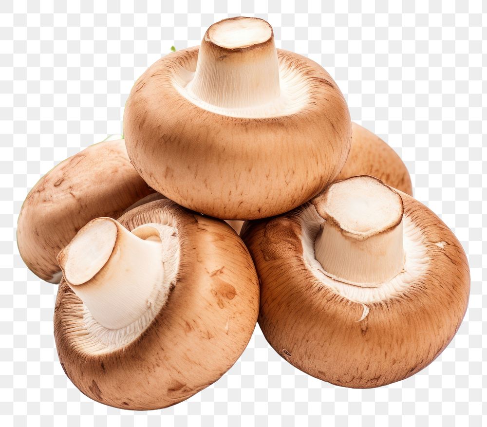 PNG Mushroom fungus plant food. AI generated Image by rawpixel.