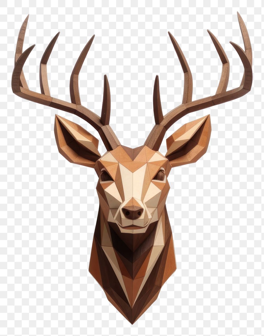 PNG Wildlife antler animal mammal. | Premium PNG - rawpixel