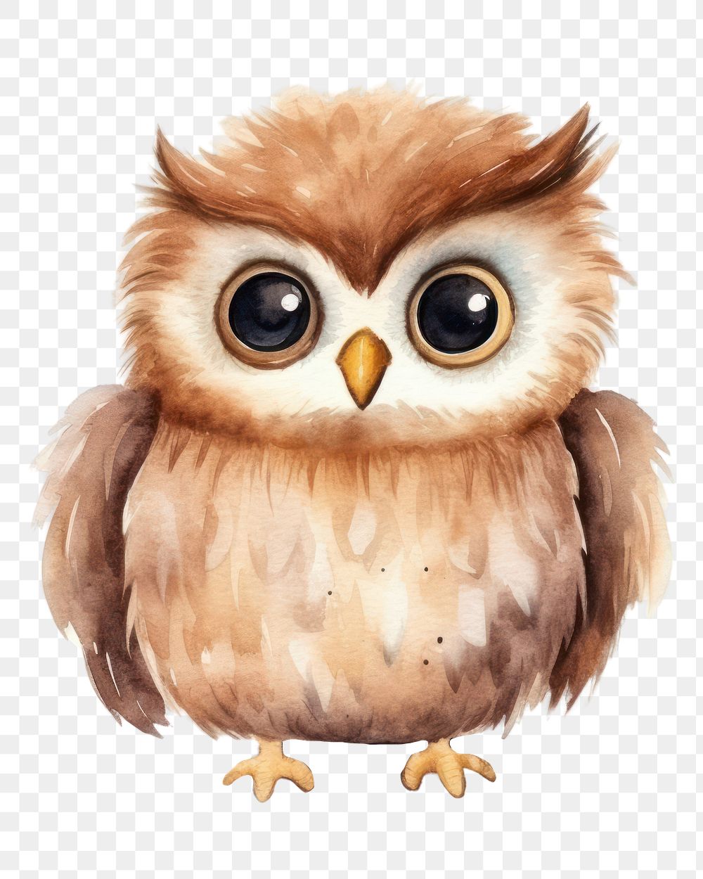 PNG Owl cartoon animal bird