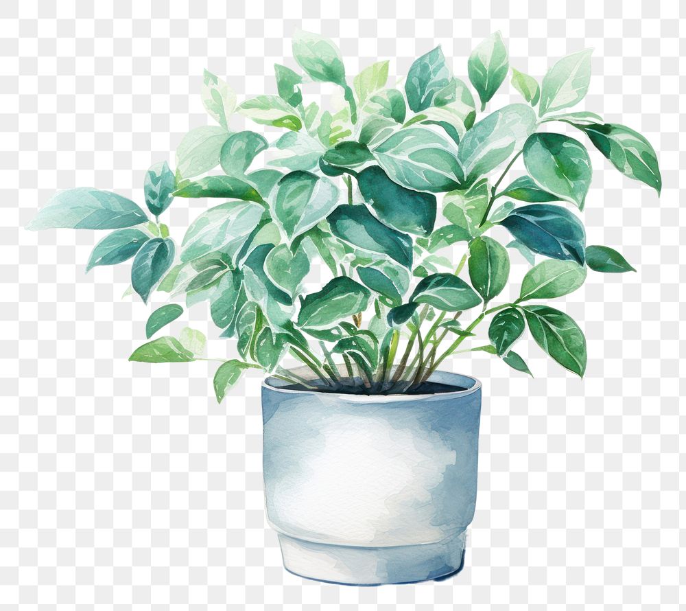 PNG Plant leaf vase houseplant. AI generated Image by rawpixel.