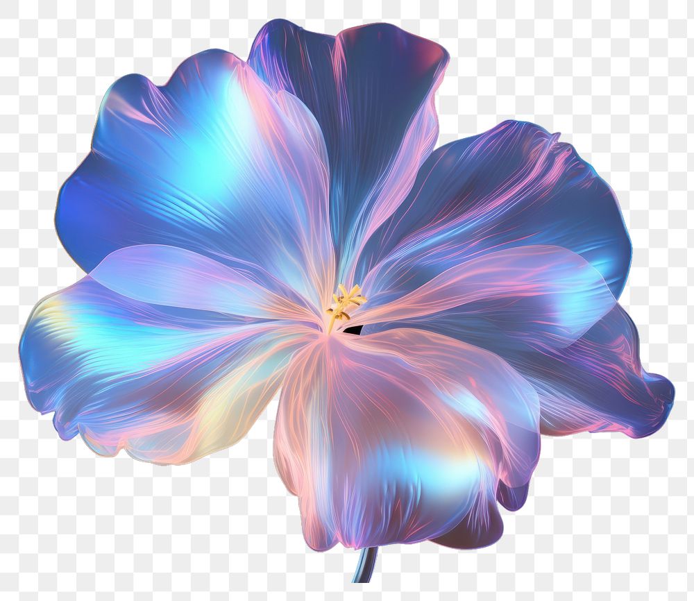 PNG Flower petal plant inflorescence. AI generated Image by rawpixel.