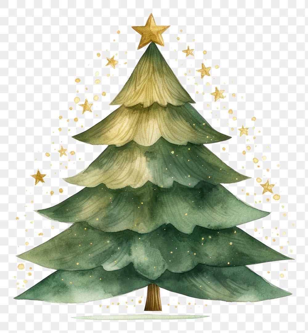 PNG Christmas tree plant transparent background