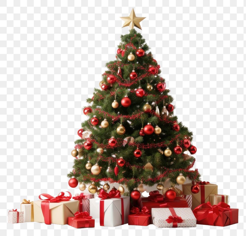 PNG Christmas tree plant gift