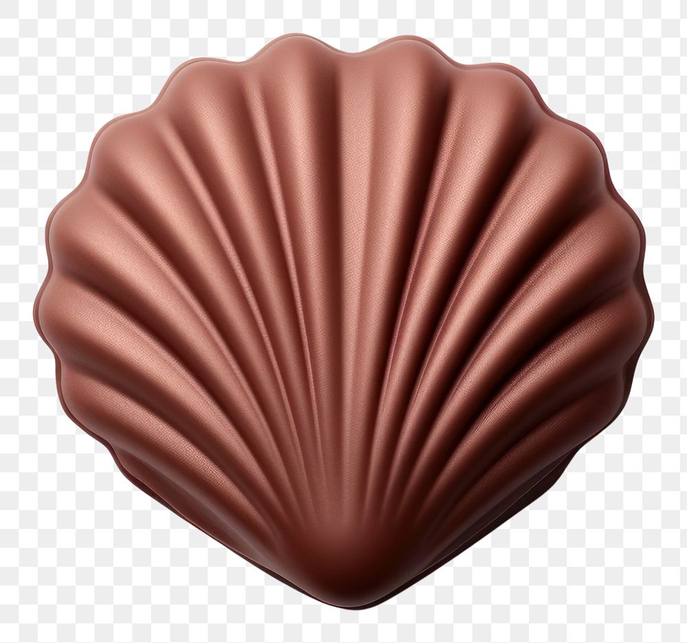 PNG Seashell chocolates food white background invertebrate. AI generated Image by rawpixel.
