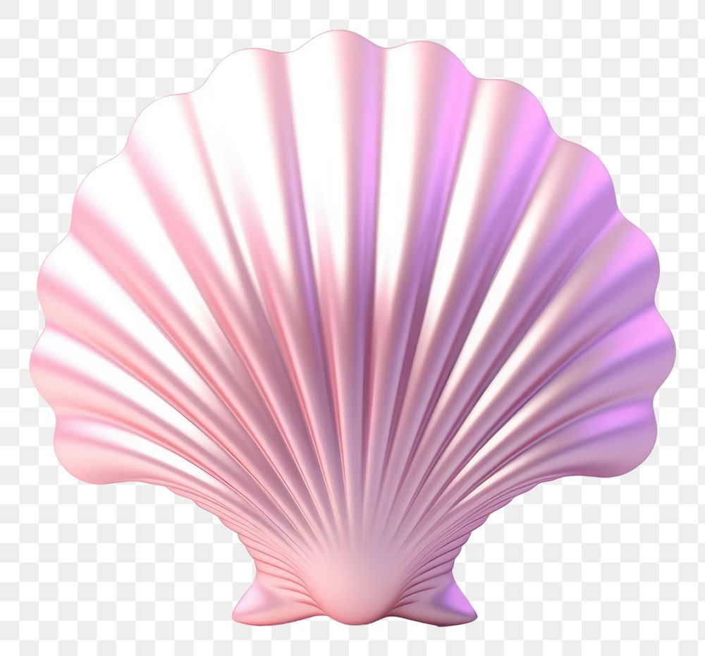 PNG Seashells clam invertebrate pattern. | Free PNG - rawpixel