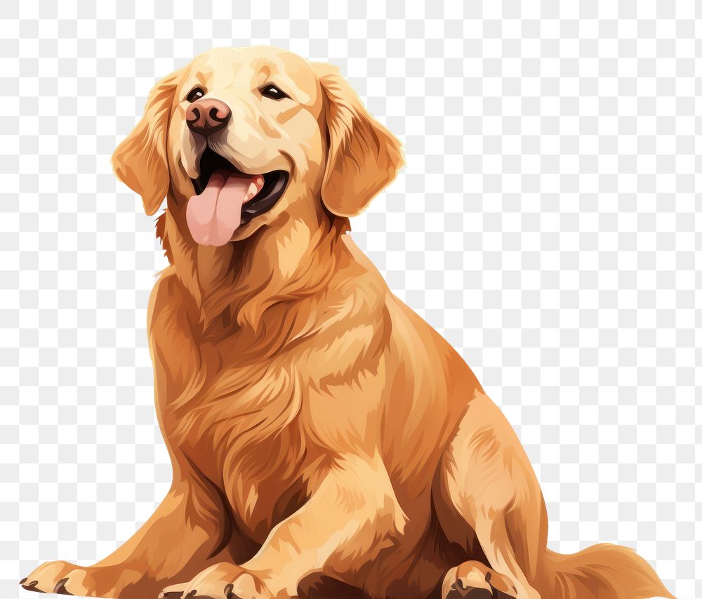 PNG Dog retriever animal mammal. 