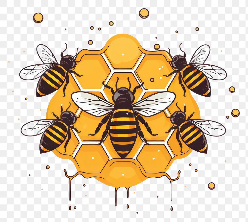 PNG Honey bee honeycomb insect. AI generated Image by rawpixel.