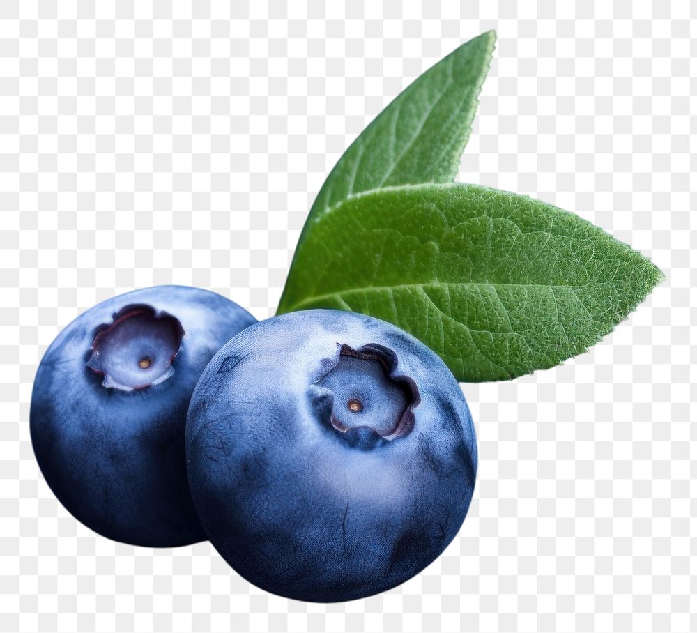 PNG Blueberry fruit plant food. 