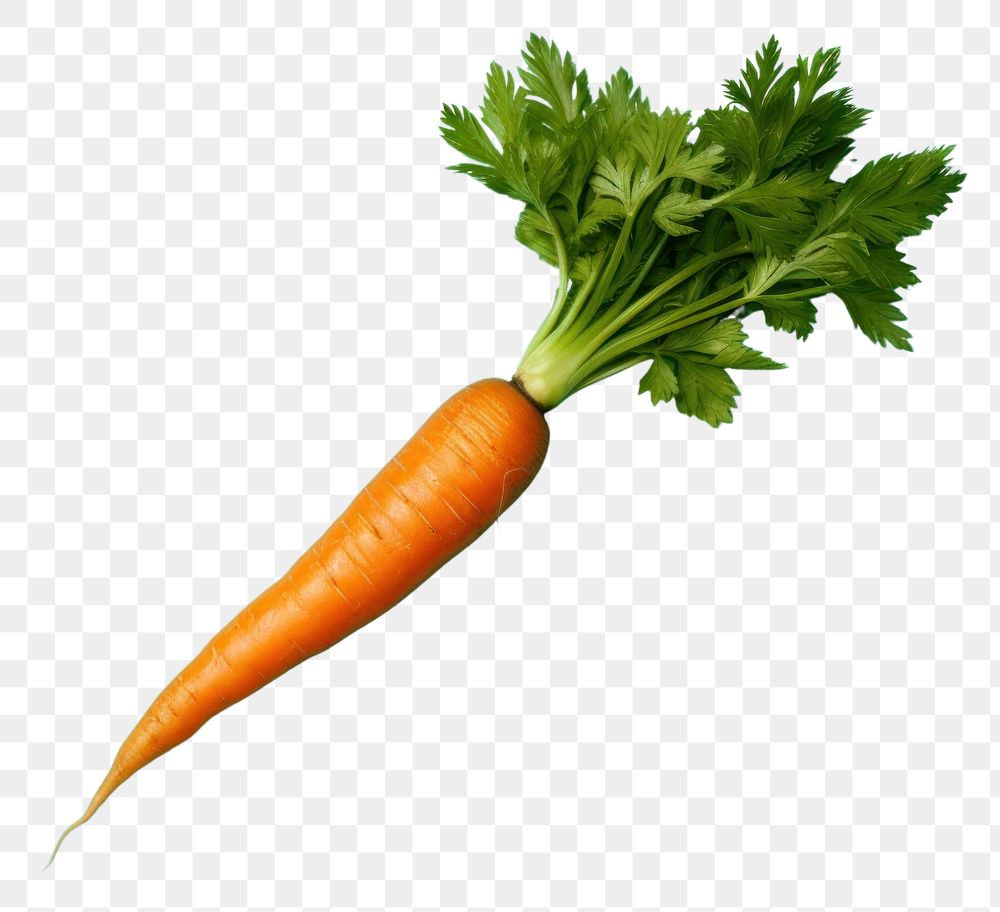 PNG Vegetable carrot plant food. 