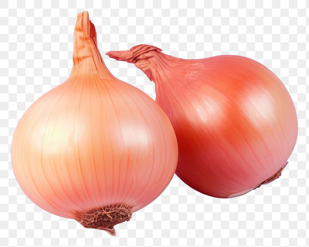 PNG Vegetable onion shallot plant. 