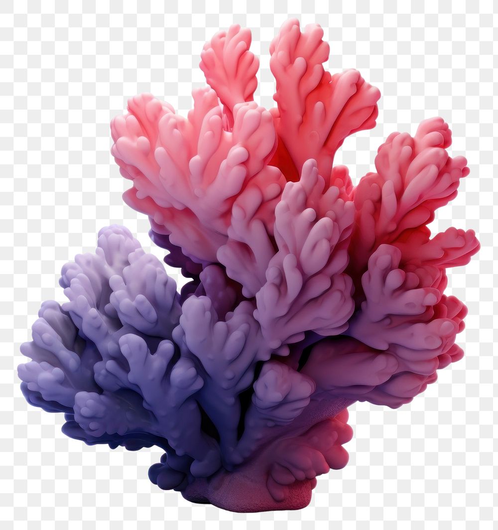PNG Nature purple invertebrate creativity. AI generated Image by rawpixel.