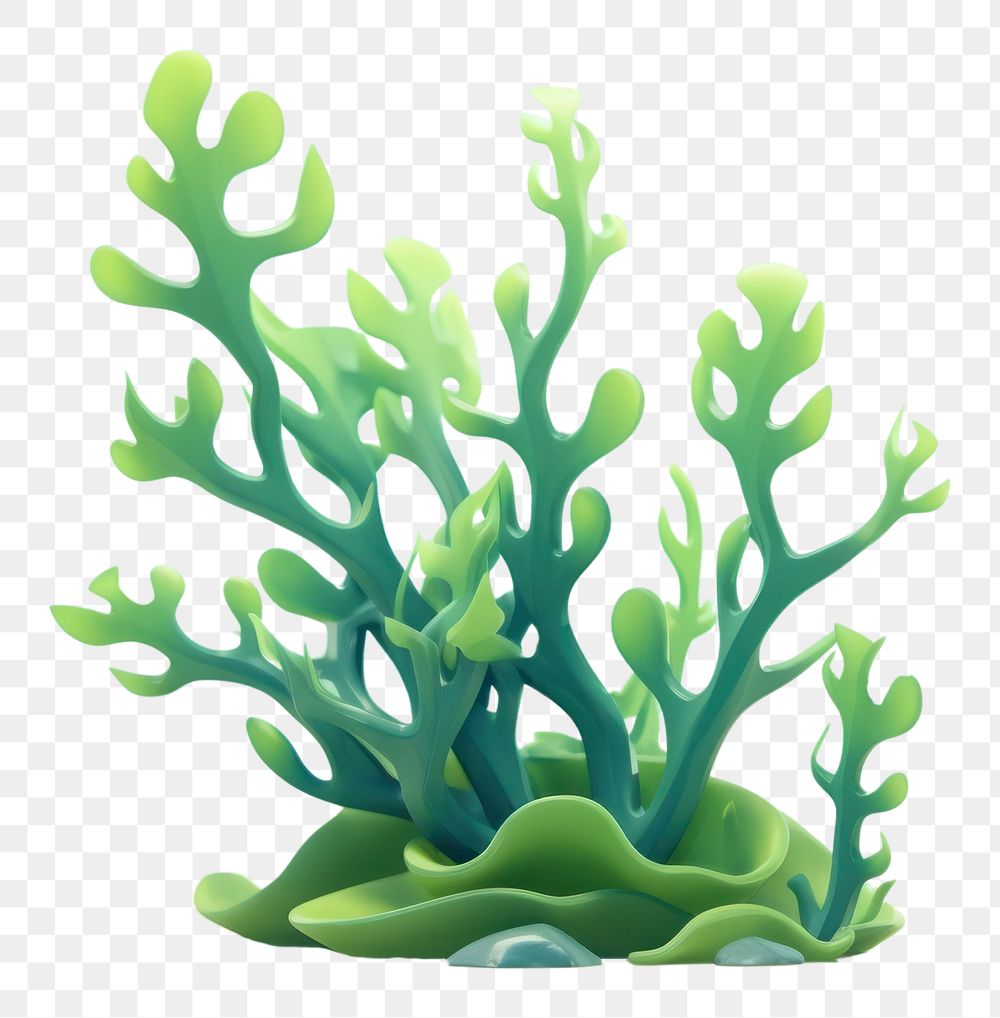 PNG Plant sea art underwater