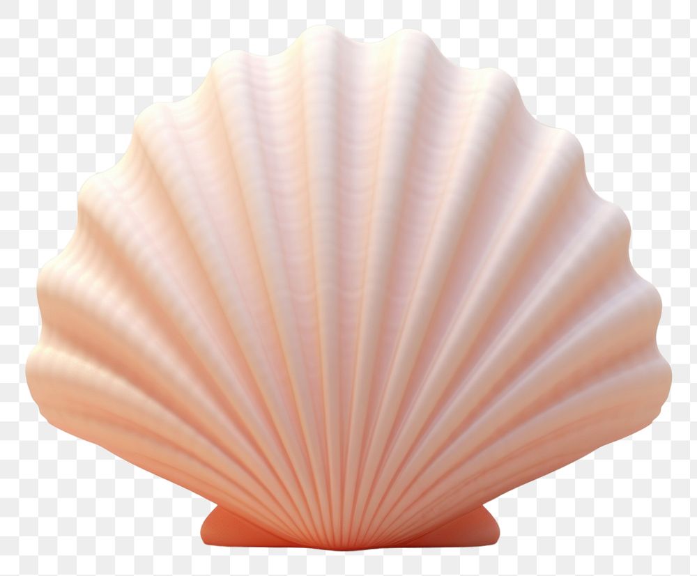 PNG Shell clam invertebrate simplicity. AI generated Image by rawpixel.