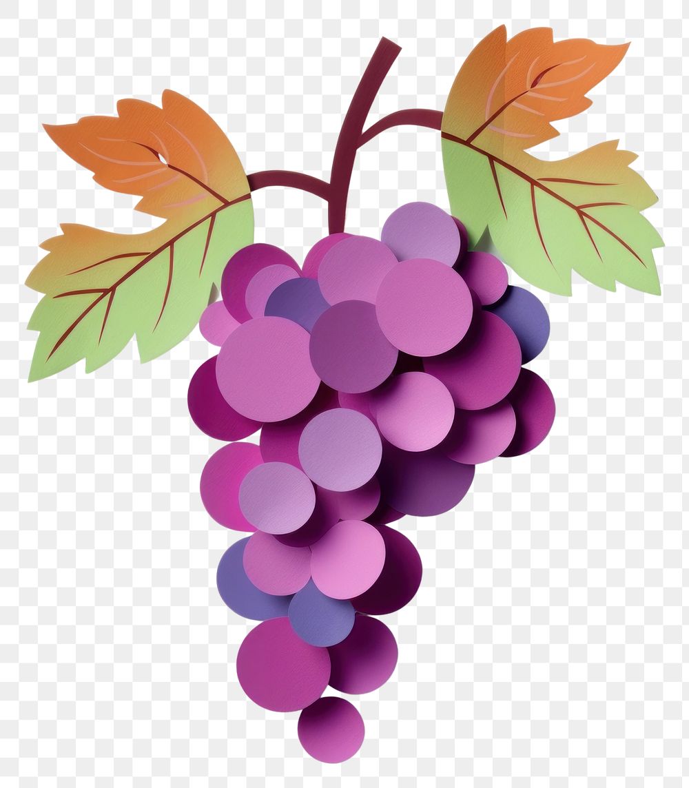PNG Grapes plant fruit food. AI generated Image by rawpixel.