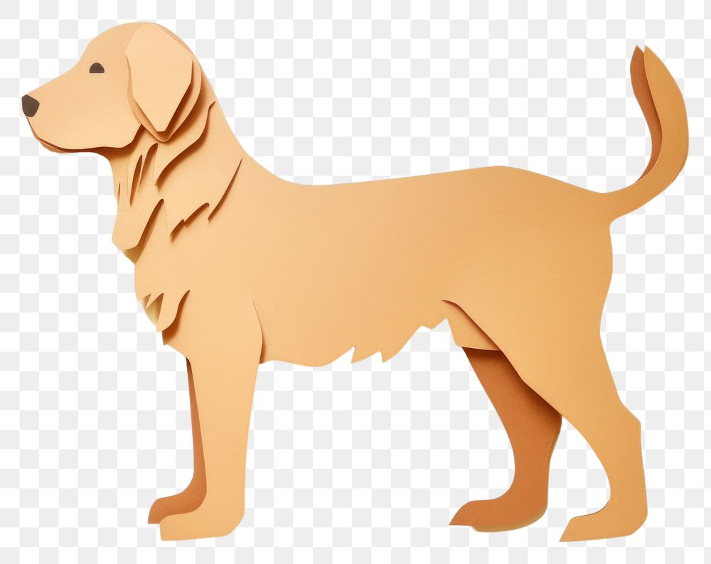 PNG Retriever animal mammal puppy. 