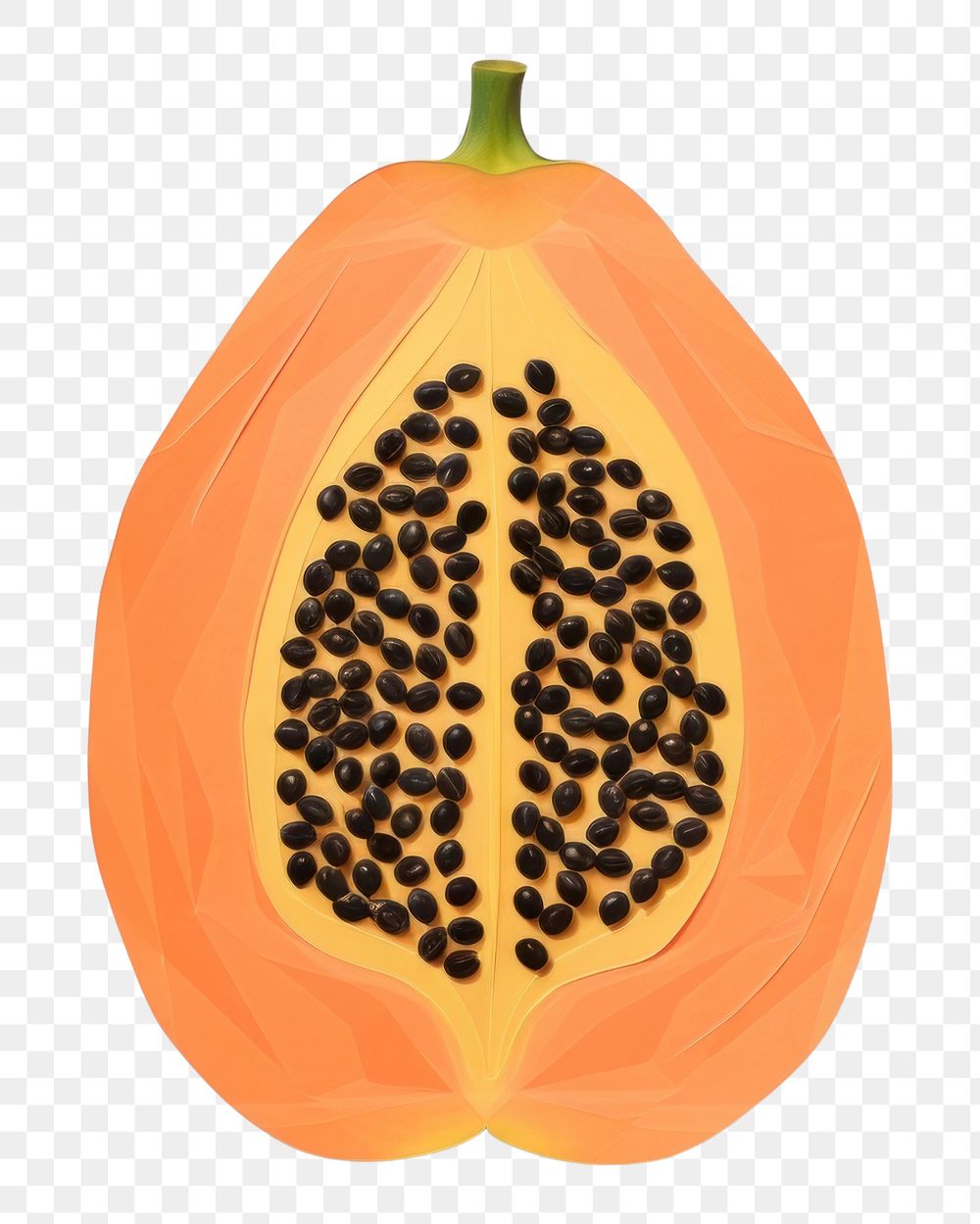 PNG Fruit papaya plant food. 