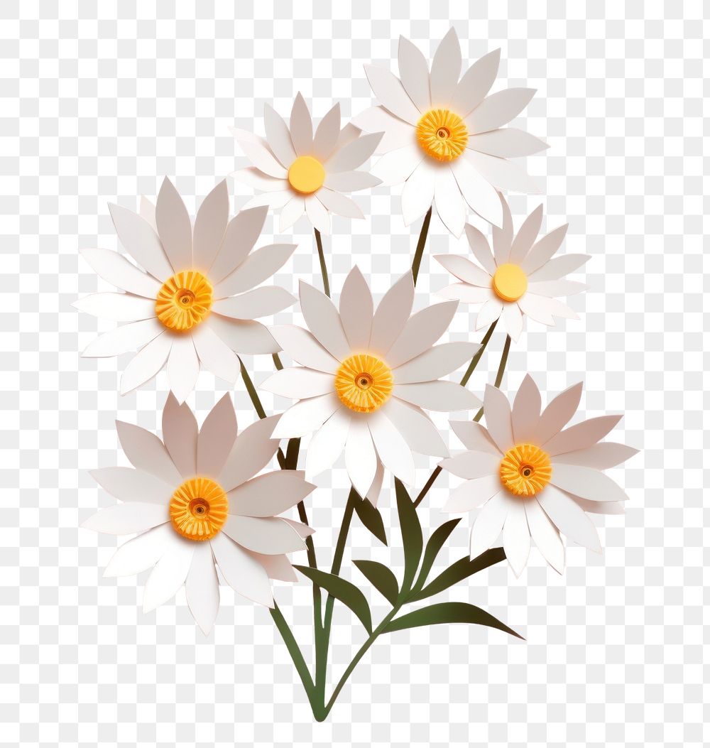 PNG Daisy flower petal plant. AI generated Image by rawpixel.