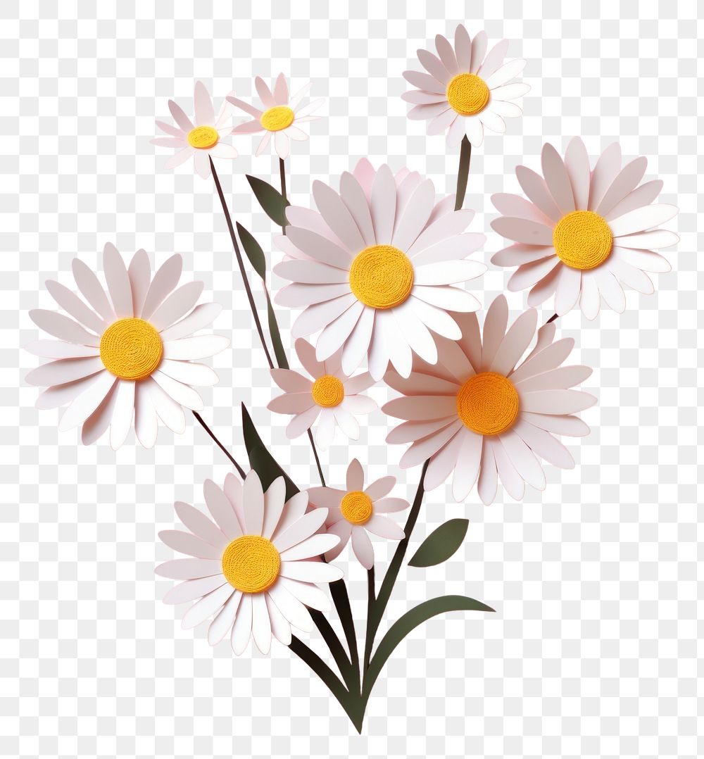 PNG Daisy flower petal plant. | Free PNG - rawpixel