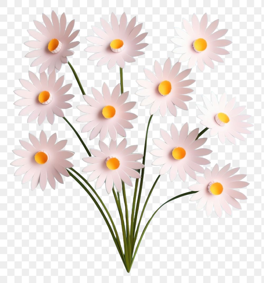 PNG Daisy flower white petal. AI generated Image by rawpixel.