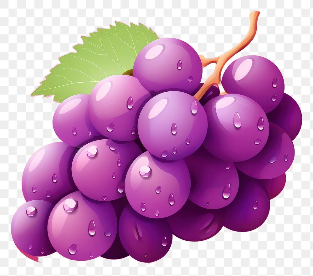 PNG Grapes fruit plant food transparent background