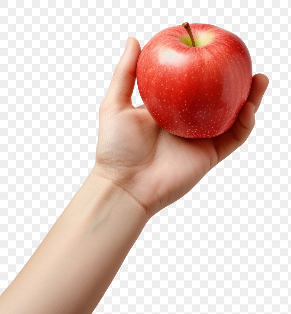 PNG Apple holding fruit plant. AI generated Image by rawpixel.
