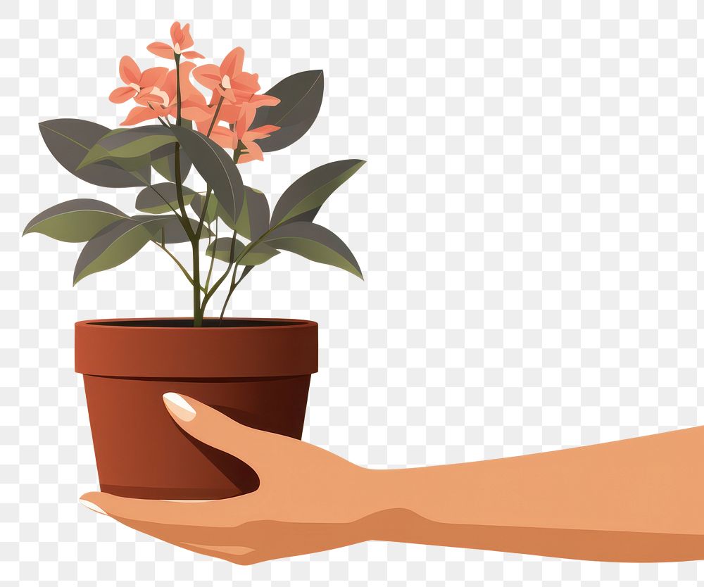 PNG Plant holding flower hand. AI generated Image by rawpixel.