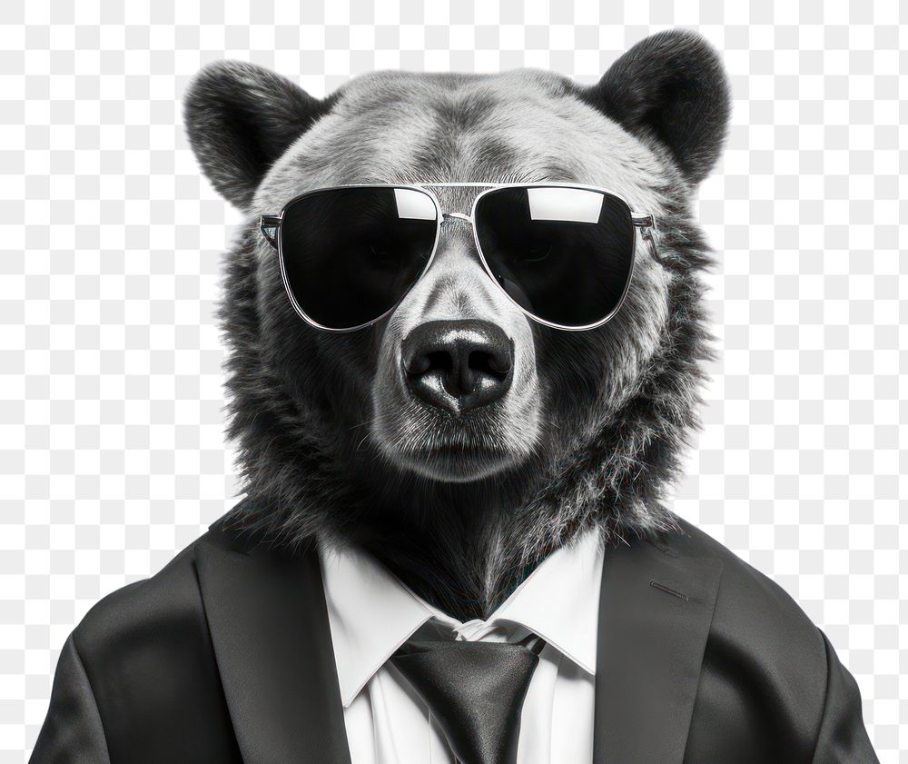 PNG Sunglasses mammal bear accessories. | Premium PNG - rawpixel