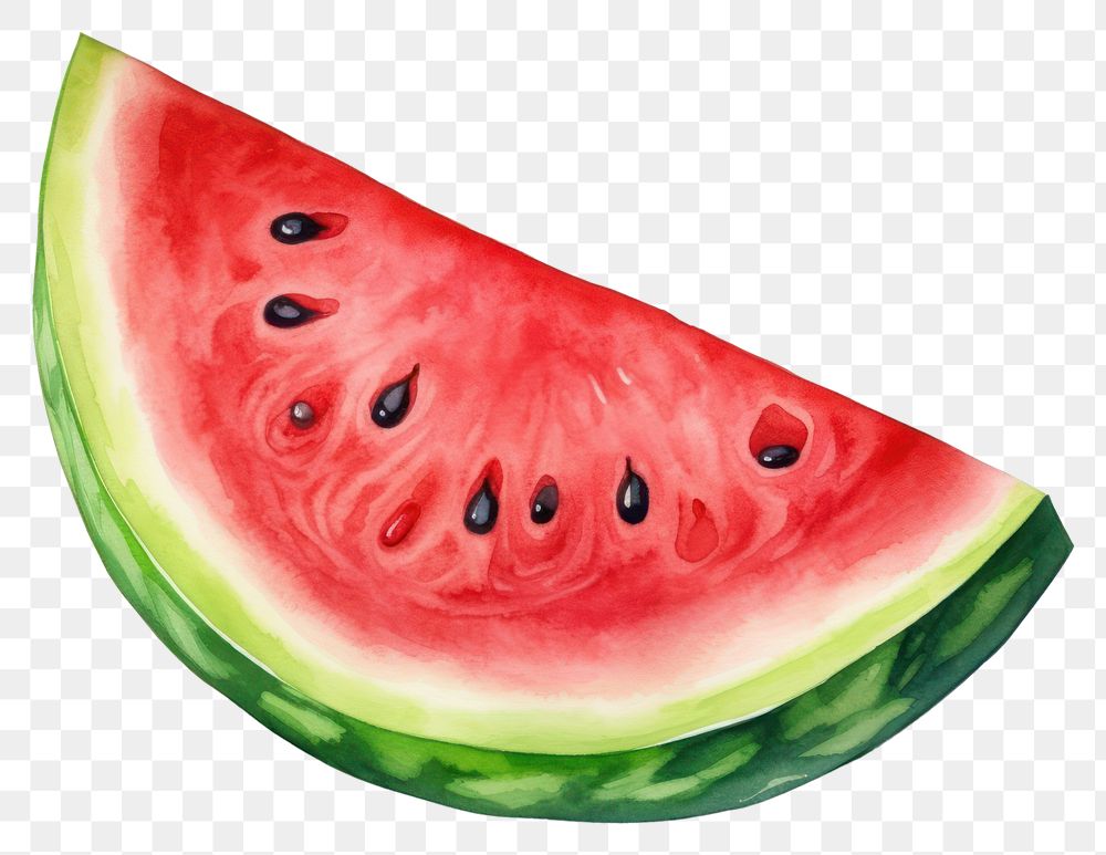 PNG Watermelon fruit plant food
